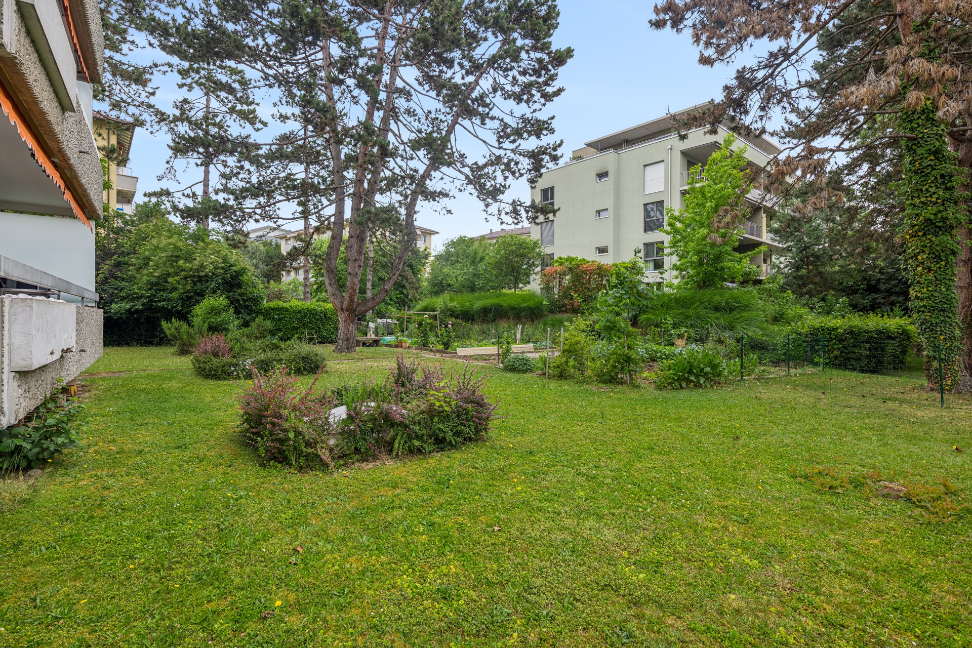 Shared garden with vegetable patches and flower beds