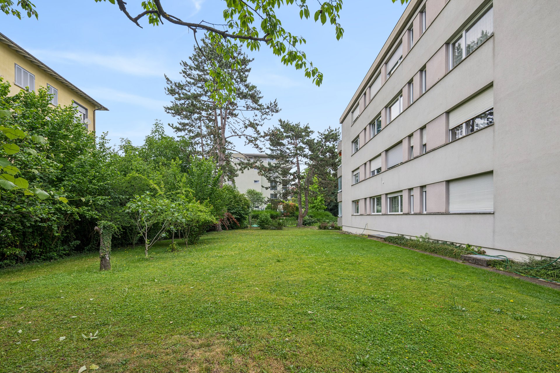 Large shared lawn along the building