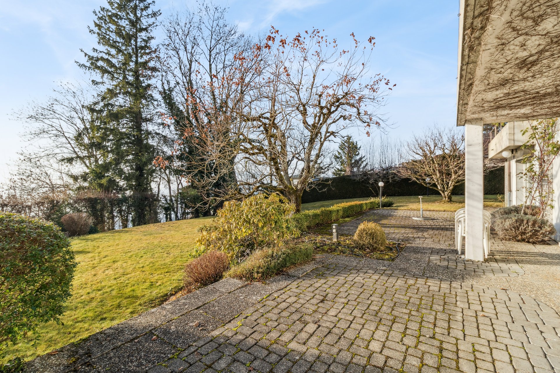Terrasse und gepflasterte Zufahrt