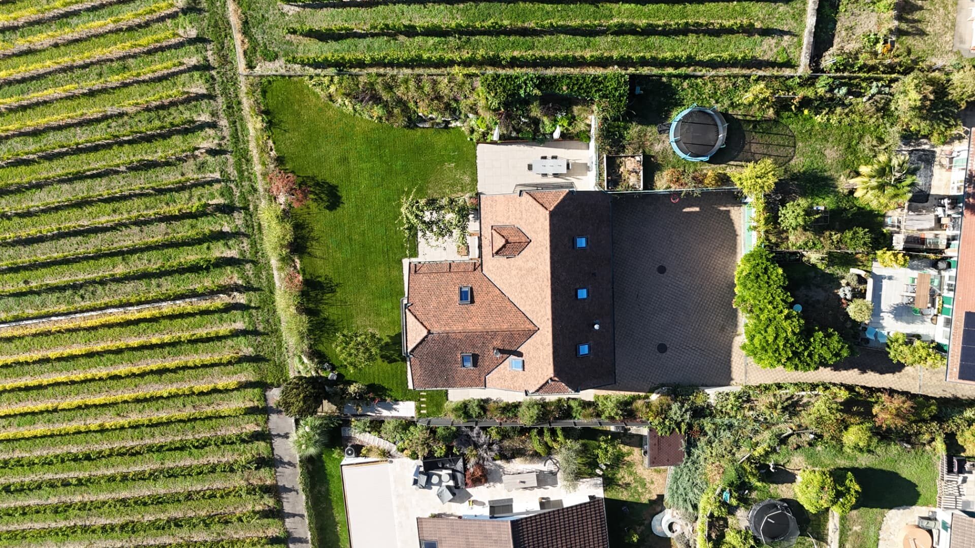 Vue aérienne de la maison au milieu des vignes